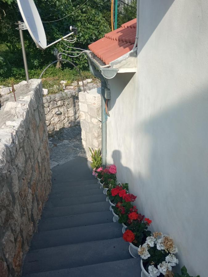 Apartment Rosić Perast Zewnętrze zdjęcie