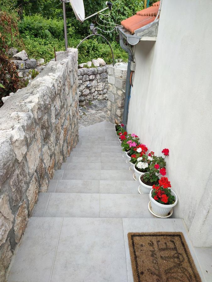 Apartment Rosić Perast Zewnętrze zdjęcie